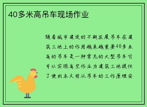 40多米高吊车现场作业